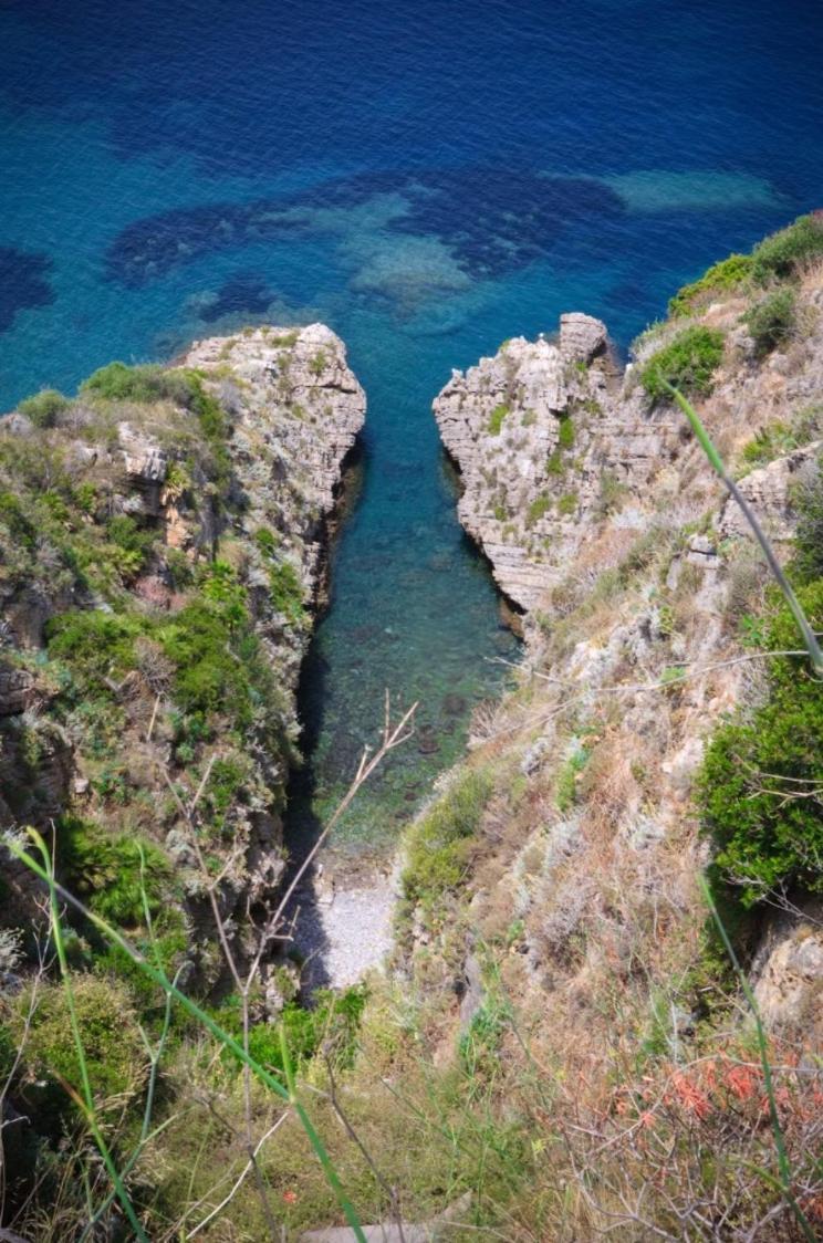 Villa San Lorenzo Sicily Altavilla Milicia Zewnętrze zdjęcie